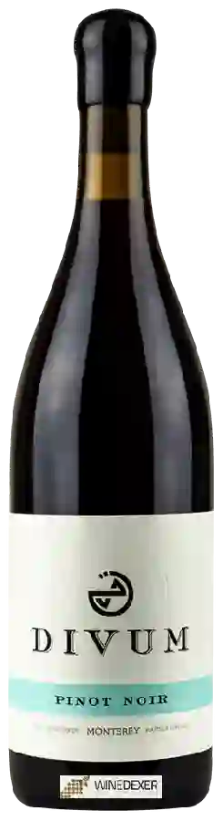 Winery Divum - Pinot Noir Winery Divum - Pinot Noir