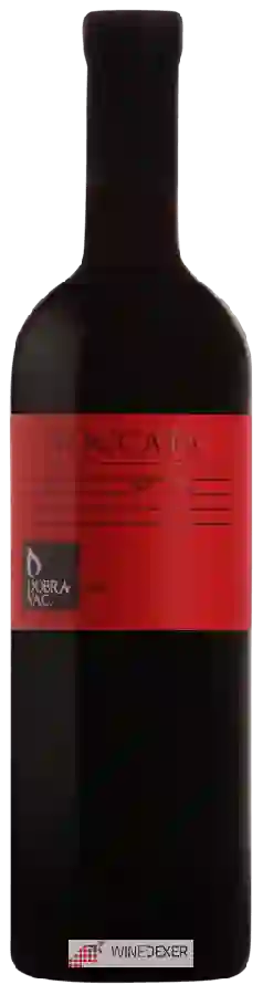 Winery Dobravac - Toccata