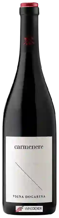 Winery Vigna Dogarina - Carmenére