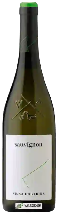 Winery Vigna Dogarina - Sauvignon