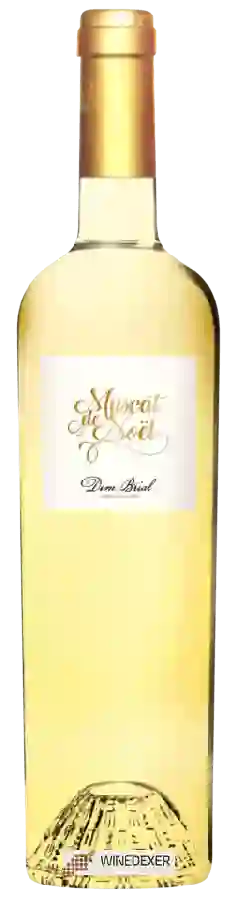 Winery Dom Brial - Muscat de Noël Muscat de Rivesaltes Winery Dom Brial - Muscat de Noël Muscat de Rivesaltes