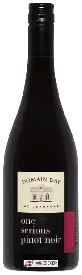 Winery Domain Day Mt Crawford - One Serious Pinot Noir
