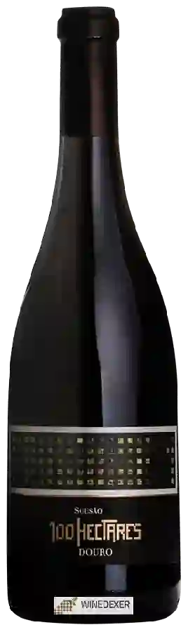 Winery 100 Hectares - Sousão