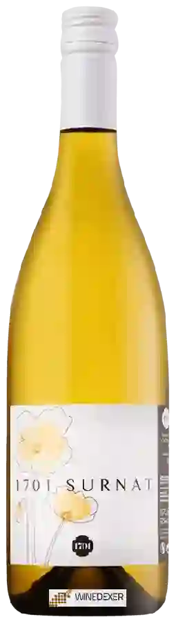 Winery 1701 Franciacorta - Surnàt Winery 1701 Franciacorta - Surnàt