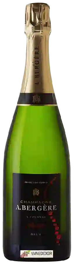 Winery A.Bergère - Selection Brut Champagne