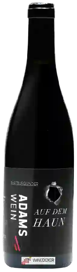 Winery Adams - Auf Dem Haun Spätburgunder Winery Adams - Auf Dem Haun Spätburgunder