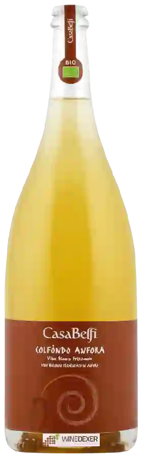 Winery Albino Armani - Casa Belfi Colfòndo Anfora