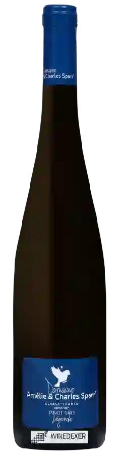 Domaine Amélie & Charles Sparr - Légende Grand Cru 'Brand' Pinot Gris