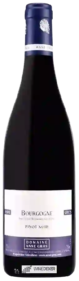 Domaine Anne Gros - Bourgogne Pinot Noir