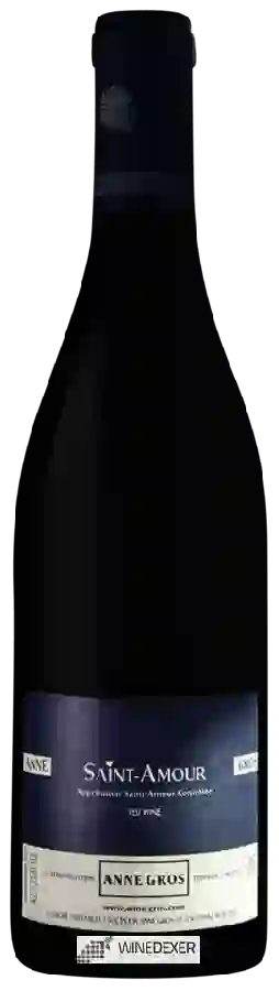 Domaine Anne Gros - Saint-Amour