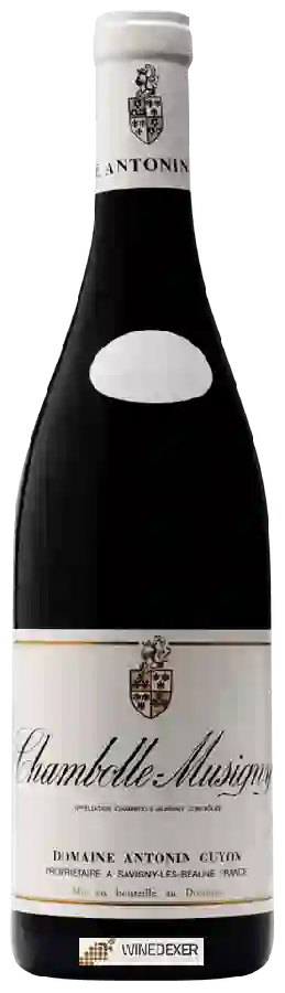 Domaine Antonin Guyon - Chambolle-Musigny Domaine Antonin Guyon - Chambolle-Musigny