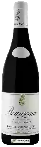Domaine Antonin Guyon - Pinot Noir Bourgogne