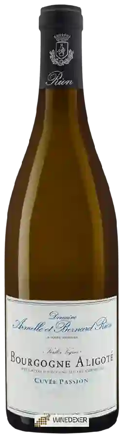 Domaine Armelle et Bernard Rion - Cuvée Passion Vieilles Vignes Bourgogne Aligoté Domaine Armelle et Bernard Rion - Cuvée Passion Vieilles Vignes Bourgogne Aligoté