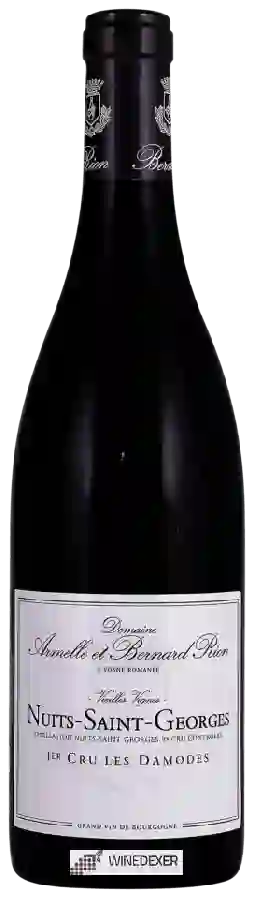 Domaine Armelle et Bernard Rion - Vieilles Vignes Nuits-Saint-Georges 1er Cru 'Les Damodes' Domaine Armelle et Bernard Rion - Vieilles Vignes Nuits-Saint-Georges 1er Cru 'Les Damodes'