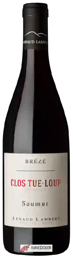 Domaine Arnaud Lambert - Saumur 'Clos Tue-Loup'