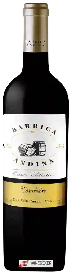 Winery Barrica Andina - Estate Selection Carménère Winery Barrica Andina - Estate Selection Carménère