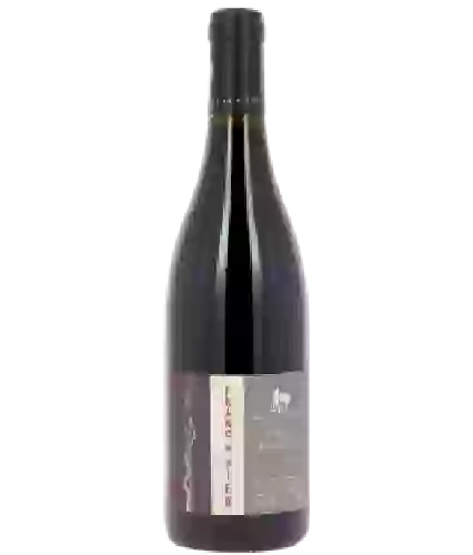 Winery Bernard Baudry - Franc de Pied Grolleau