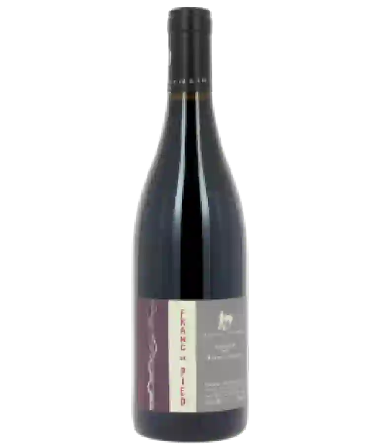 Winery Bernard Baudry - Franc de Pied Grolleau