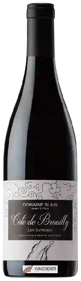 Domaine Blain Soeur & Frere - Les Jumeaux Côte de Brouilly Domaine Blain Soeur & Frere - Les Jumeaux Côte de Brouilly