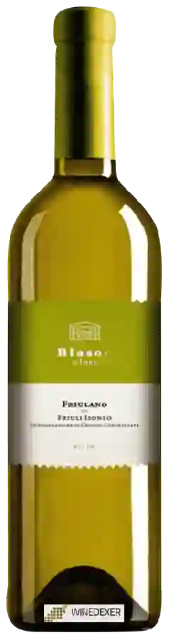 Winery Blason - Friulano
