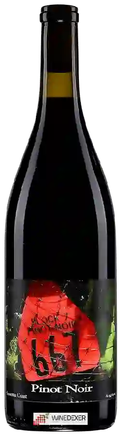 Winery Block 7 - 667 Pinot Noir