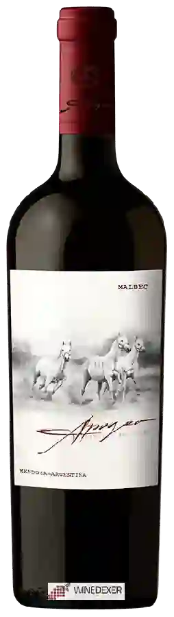 Bodega A16 - Apogeo Limited Edition Malbec