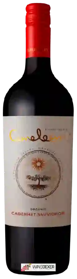 Domaine Bousquet - Cameleon Cabernet Sauvignon