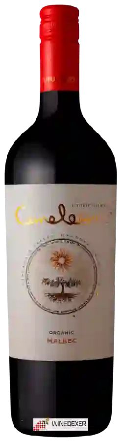 Domaine Bousquet - Cameleon Malbec Domaine Bousquet - Cameleon Malbec