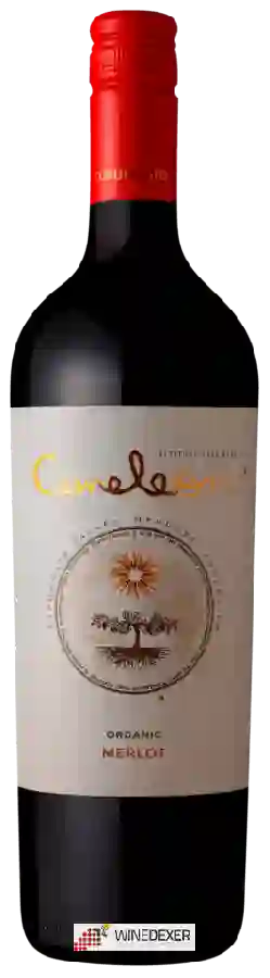 Domaine Bousquet - Cameleon Merlot