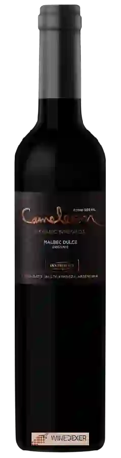 Domaine Bousquet - Cameleon Organic Vineyards Malbec Dulce
