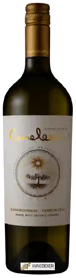 Domaine Bousquet - Cameleon Selection Chardonnay - Torrontes Domaine Bousquet - Cameleon Selection Chardonnay - Torrontes