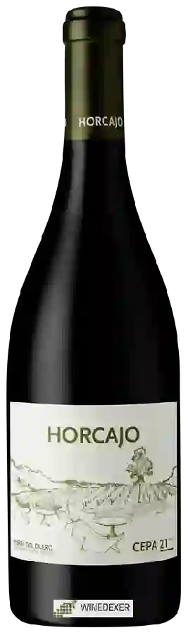 Winery Cepa 21 - Horcajo