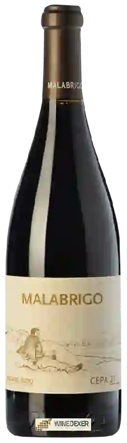 Winery Cepa 21 - Malabrigo Ribera del Duero