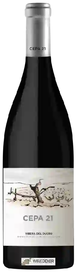 Winery Cepa 21 - Ribera del Duero Tinto Winery Cepa 21 - Ribera del Duero Tinto