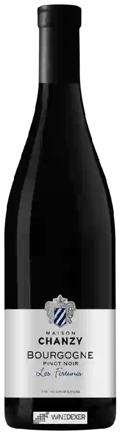 Domaine Chanzy - Bourgogne Pinot Noir 