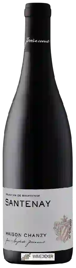 Domaine Chanzy - Santenay