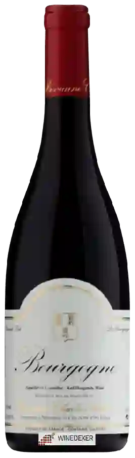 Winery Charles Audoin - Bourgogne