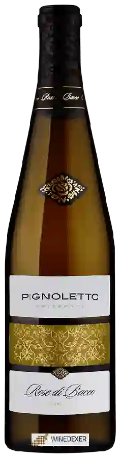 Winery Chiarli 1860 - Pignoletto Frizzante Rosé di Bacco Winery Chiarli 1860 - Pignoletto Frizzante Rosé di Bacco
