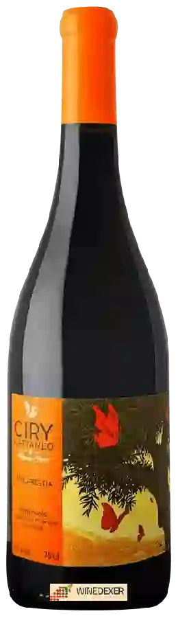 Domaine Ciry Cattaneo - Malabestia Minervois