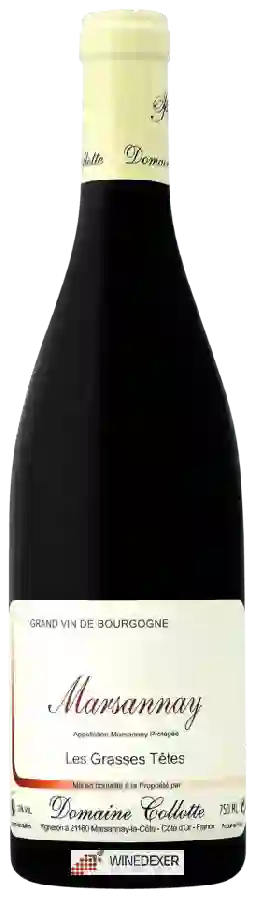 Domaine Collotte - Les Grasses Têtes Marsannay Domaine Collotte - Les Grasses Têtes Marsannay