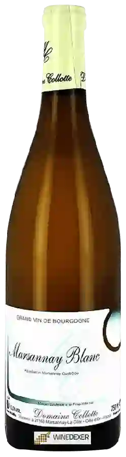 Domaine Collotte - Marsannay Blanc Domaine Collotte - Marsannay Blanc