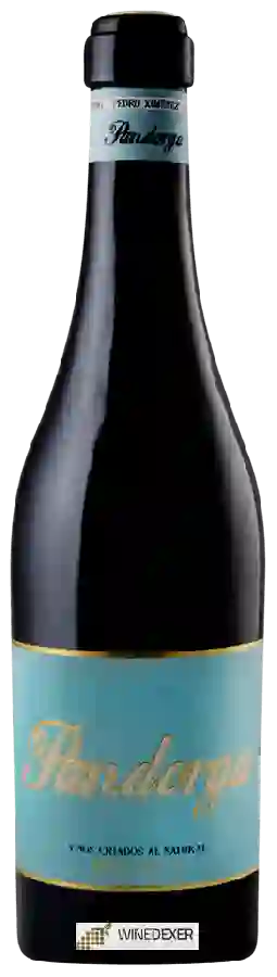 Winery Cota 45 - Pandorga