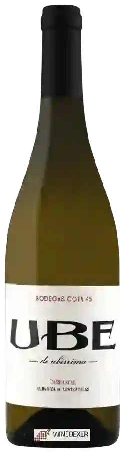 Winery Cota 45 - UBE de Ubérrima Carrascal Winery Cota 45 - UBE de Ubérrima Carrascal