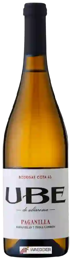 Winery Cota 45 - UBE de Ubérrima Paganilla Winery Cota 45 - UBE de Ubérrima Paganilla