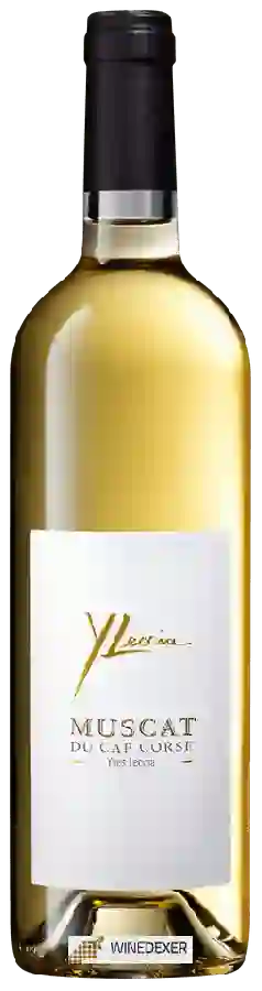 Winery Yves Leccia - Muscat du Cap Corse
