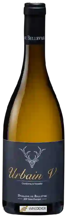 Domaine de Bellevue - Urbain V Chardonnay - Tressallier Domaine de Bellevue - Urbain V Chardonnay - Tressallier