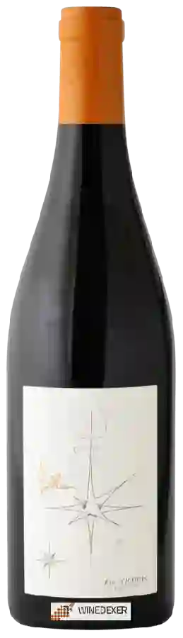 Domaine de Bellivière - Pollux Domaine de Bellivière - Pollux