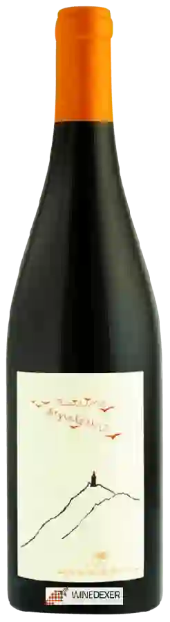 Domaine de Bellivière - Raisins Migrateurs