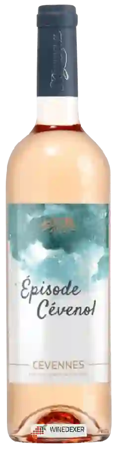 Domaine de Berguerolles - Épisode Cévenol Rosé Domaine de Berguerolles - Épisode Cévenol Rosé