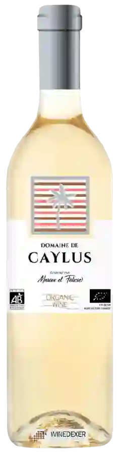 Domaine de Caylus - Blanc